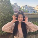 Stay maca 이미지