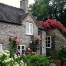 금광천막 이미지