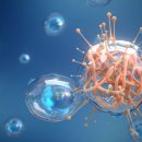 양이양 멍이군 이미지