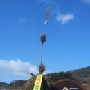 달오름마을 이미지