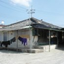 산호동314 이미지