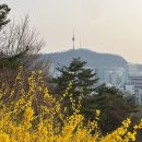 25년 4월 달력