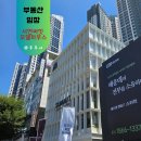 모델 | 서면 써밋 더뉴 모델하우스 후기 특별공급은 흥행 실패!! 싸늘하다 일반분양해도 될까?