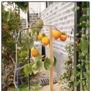 연계콩마을 네이버블로그
