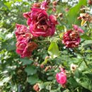 그림풍경 이미지