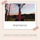 (주)다온 미디어 이미지