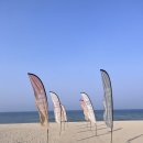 봉봉키친 더 펫 | 삼척 쏠비치 펫룸 후기, 반려견 동반 숙소 추천 (셰프스키친 + 산토리니 광장 + 해변 산책)