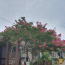 개미촌펜션 이미지