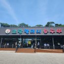 제주엘림하우스 | [강릉, 삼척 2박3일] 초당할머니순두부, 초당순, 엘림하우스펜션, 삼척용화해수욕장 스노쿨링, 삼척...