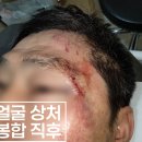 강동실비 이미지