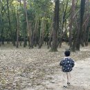 (주)헬로우팜 네이버블로그