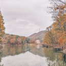 계룡저수지 공중화장실 이미지