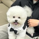 루체테스튜디오 루체테포토 100마리챌린지 만원의행복 증멍사진 후기