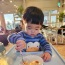 카페샌디즈