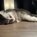 (주)도영환경 이미지