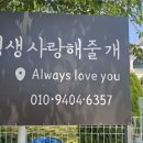 평생 사랑해 줄 개 애견펜션 이미지
