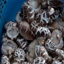 영만농장 이미지