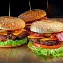 영어 원어민 중급 이미지