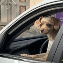 까망베르2호점 이미지