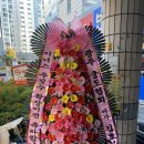 이너스스포츠센터킹덤주짓수