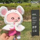 지에스25 안성노곡 | 이찬원 이찬원숲 다녀온 후기 마포순환버스로 가는방법은?