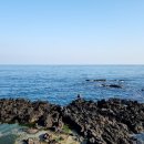 공간민박 이미지