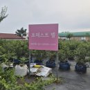 지산농장 | 따기 + 감자 캐기 + 동물 먹이 주기 + 미니포크레인 체험이 모두 가능한 서울 근교 포레스트벨 체험농장