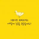 오리종합관리 네이버블로그