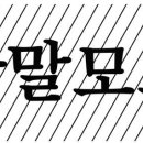 양이비인후과 네이버블로그