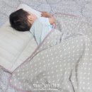 모던베이비