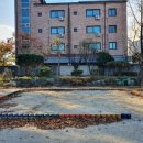 도척초등학교 병설유치원 이미지