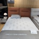 신혼부부 매트리스학과 졸업기 (1) 에이스, 시몬스, 에몬스, 금성침대, 한샘, 템퍼, 코웨이 등등 후기...