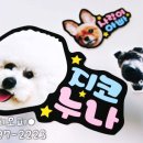 주식회사 하림펫푸드 이미지