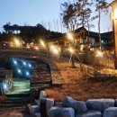 영천한방테마거리 이미지