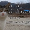 냥 이미지