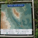 신동아고속관광(주) 이미지