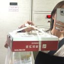 도마아디다스 | 26,06 Diary,