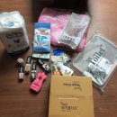 부산강아지분양 앨리펫 이미지