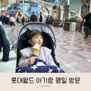 어린이집 겨울방학 롯데월드 평일 방문 후기(33개월 아기랑)