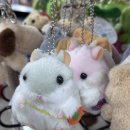 동해일식 이미지