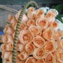 베트남여성의날 꽃배달 선물 미리준비하세요 ~~♥ 이미지