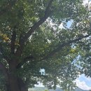 은혜매점 이미지