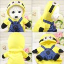 퀸 애견 이미지