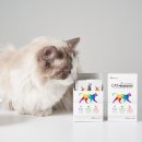 제이원피앤지 이미지