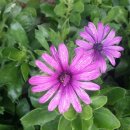 진흥건설주식회사 이미지