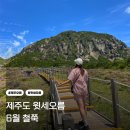 한라산 만세로점 | 한라산국립공원 윗세오름 6월 철쭉명소