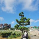 팔봉 갯벌체험장 화장실 이미지