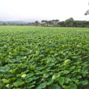 (주)엘도라도리조트 이미지