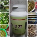 자연산 삽주환/충영환=왕창쎄일! 한번더 갑니다 이미지