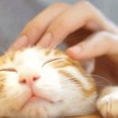순간의연속